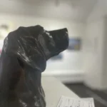 Screenshot 2026-01-06 at 5.06.23 PM