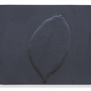 Standing Lemon by Jonathan Brand