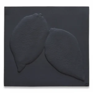 Two Lemons by Jonathan Brand