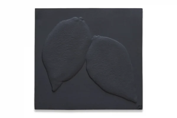 Two Lemons by Jonathan Brand