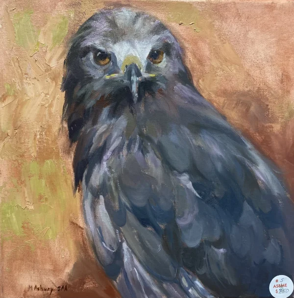 Grey Hawk by Melody Asbury