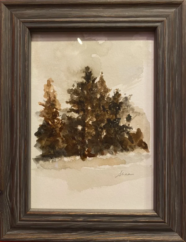 Fir Tree by Roberta Shea