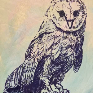 Owl by Scott Bricher