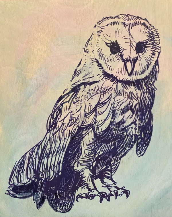 Owl by Scott Bricher
