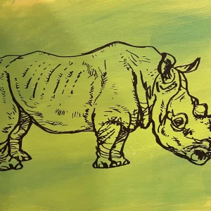 Green Rhino by Scott Bricher