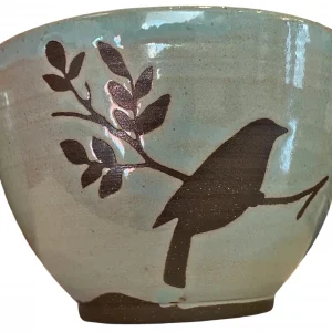 Brown Birds Turquoise Bowl by Roberta Ahuja