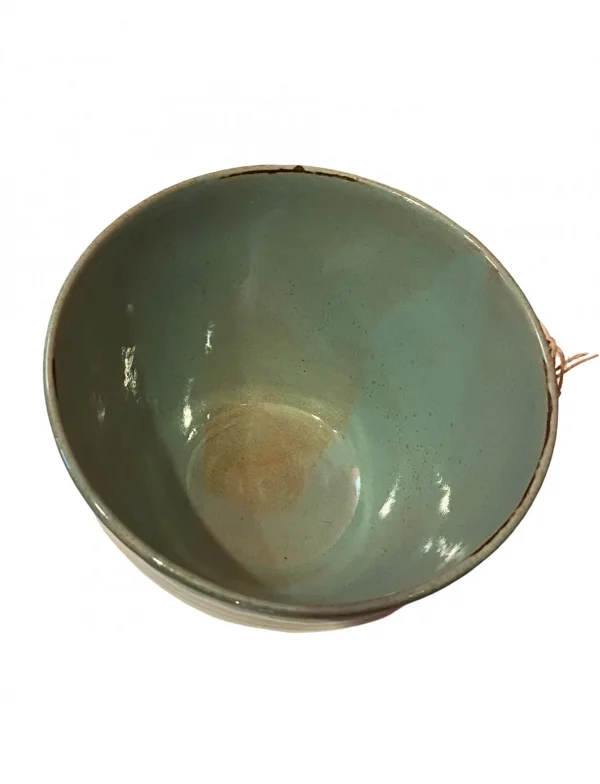 Brown Birds Turquoise Bowl by Roberta Ahuja - Image 2