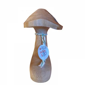 Mushroom by Laura Luther