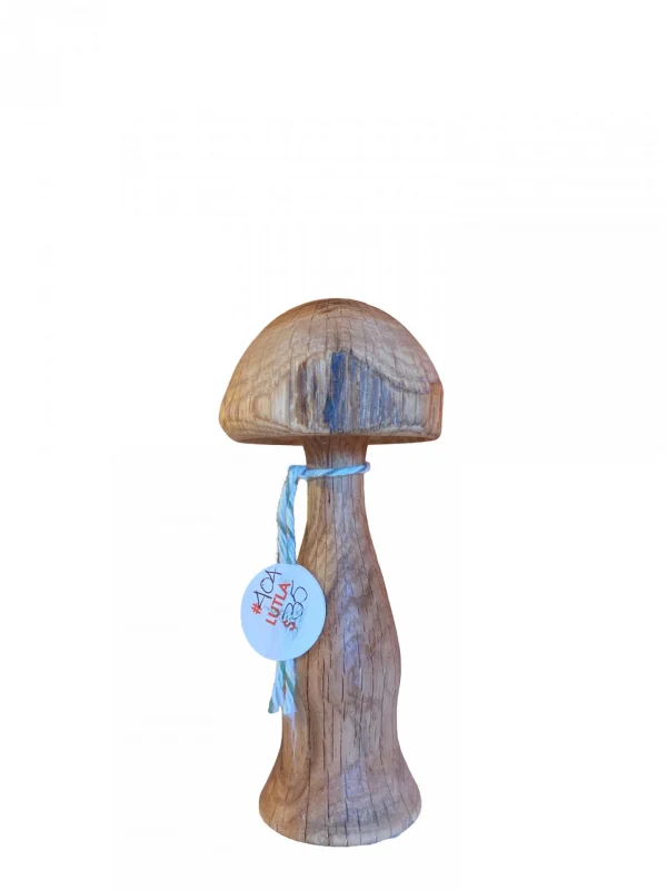 Mushroom by Laura Luther
