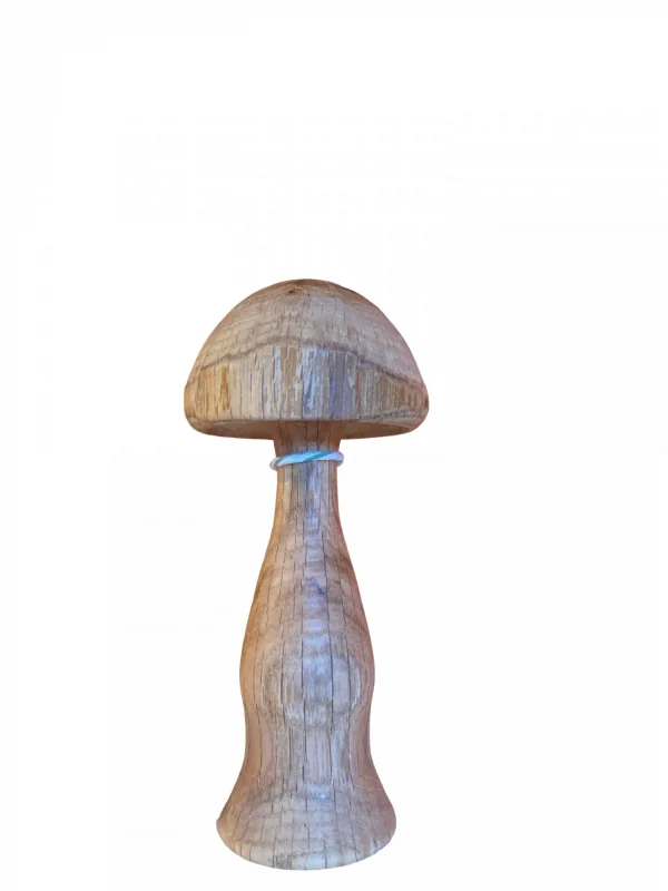 Mushroom by Laura Luther - Image 2