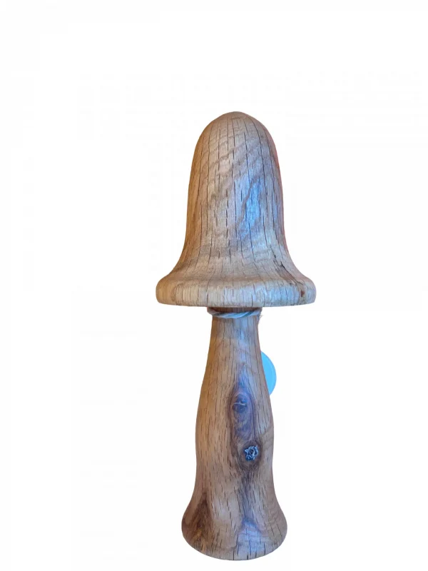 Mushroom by Laura Luther - Image 2