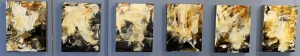 Quin Gold Studies by Heather Neilson