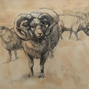 Ram by Melody Asbury