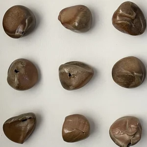 Ceramics with Pam Church | Beginners and Intermediate (Tuesdays, 1:00 PM to 4:00 PM | Tuesdays, 5:00 PM to 8:00 PM | Wednesdays, 9:30 AM to 12:30 PM)