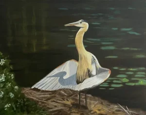 Great Blue Heron by Lynn Gray