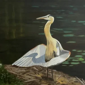 Great Blue Heron by Lynn Gray