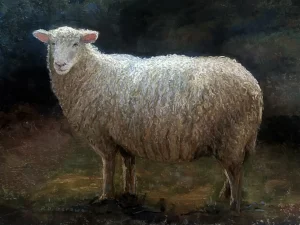 Stella by Rachel Gerowe