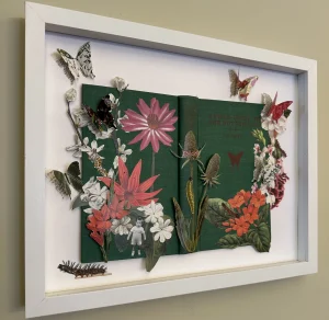 Field Guide Butterflies by Susan Lerner
