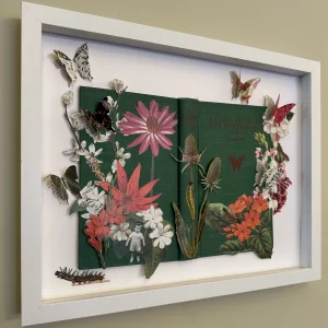Field Guide Butterflies by Susan Lerner
