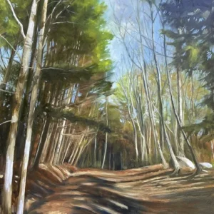 Into The Woods by Cynthia Gillette