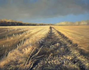 Corn Field by Patty Fogle