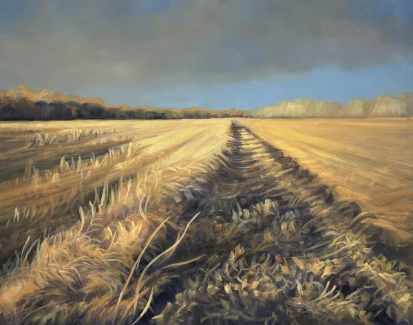 Corn Field by Patty Fogle