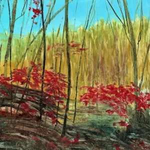 October Light by Kimberly Day Proctor
