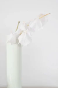 A Study in White by Bill Quinnell