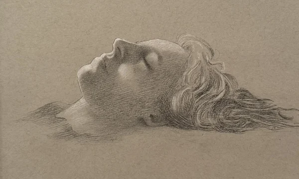 Deep Sleep by Nicole Alger