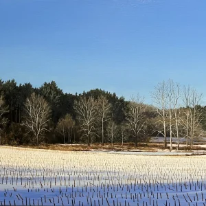 Winter Cornfield by Tom Yost