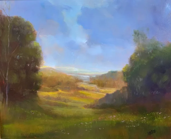 Distant Views by Robert Watkins