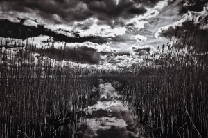 Walking on the Sky by Wendy Costa