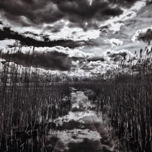 Walking on the Sky by Wendy Costa