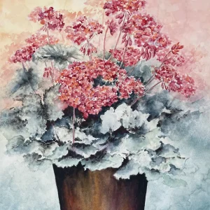 Geraniums by Sandra Cointreau