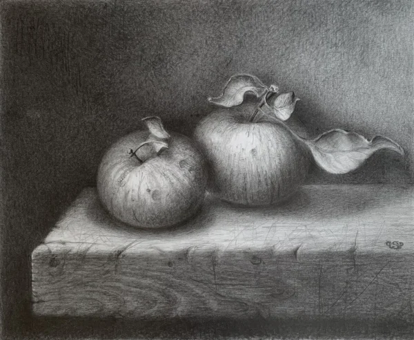 Jonathan Apples by Philip Stone