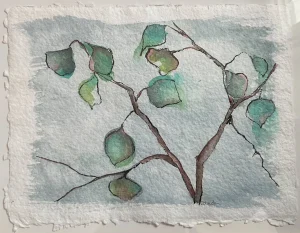 Snow's Gone by Julie Czerenda