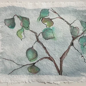 Snow's Gone by Julie Czerenda