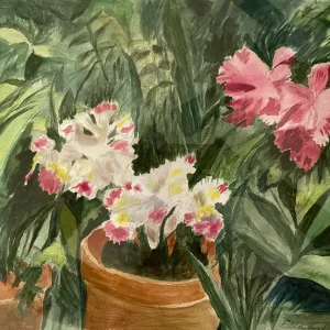 Orchid Fantasy at NYBG by Ella T. Newman