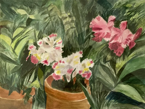 Orchid Fantasy at NYBG by Ella T. Newman