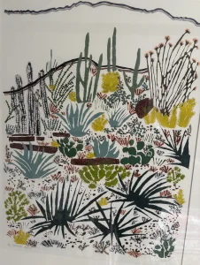 Sonoran Desert by Carol Zamcheck