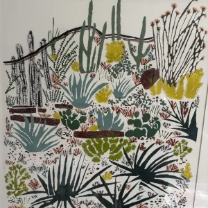 Sonoran Desert by Carol Zamcheck