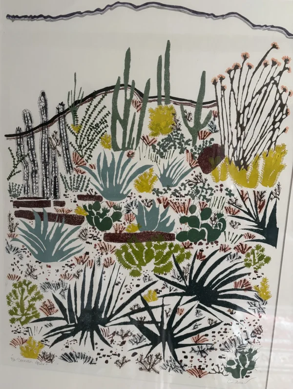 Sonoran Desert by Carol Zamcheck