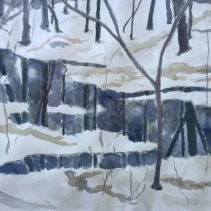 Ice Pool by Diana Swoyer
