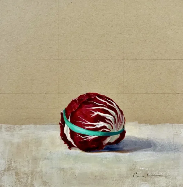 Radicchio by Clare Chapman