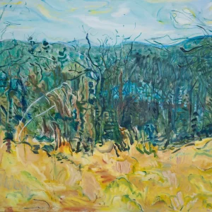 View South, Warren by Ann Quackenbos