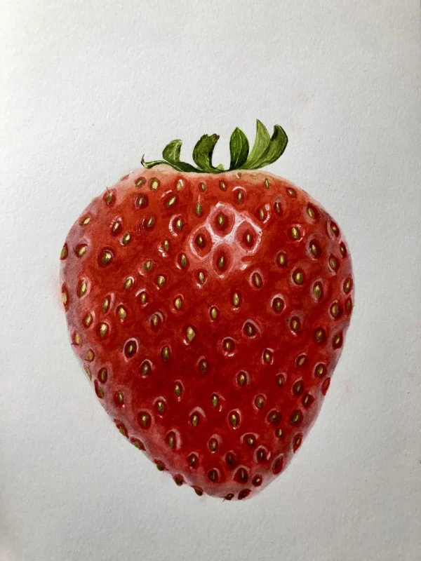 Colored Pencil for Botanical Art with Teresa Goetz – Summer Class 2025 - Image 12
