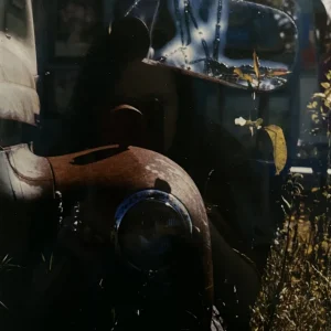 Old Truck in Field by William Nietsch