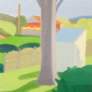 Backyard Fences by Ben Frederick