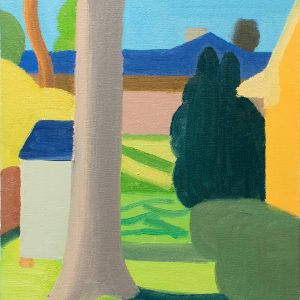 Backyard Shadows by Ben Frederick