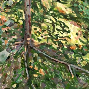 Afternoon Shadows by Emily Manning-Mingle